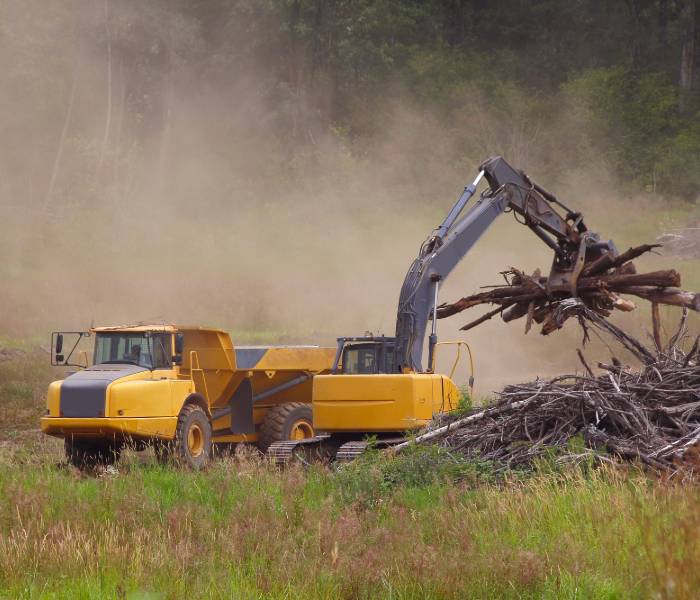 Anchorage brush clearing
